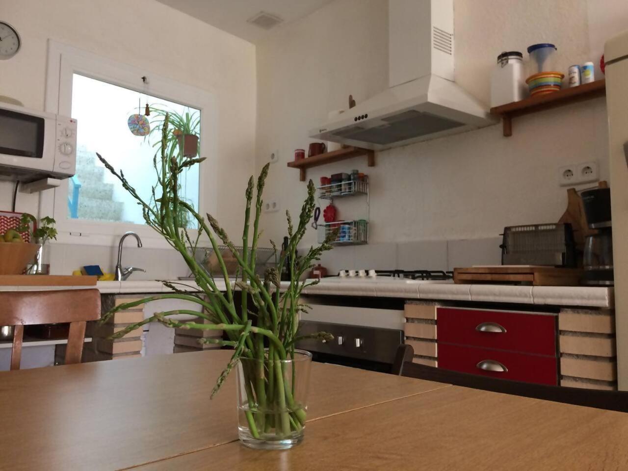 Penellas Casa Taller Penelles מראה חיצוני תמונה